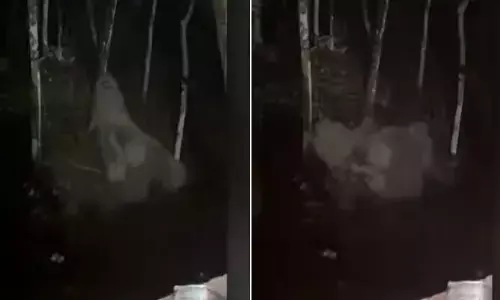 പാതിരാത്രിയിൽ ഭയപ്പെടുത്തുന്ന ശബ്ദം; നാട്ടുകാർ സഹിതം ഞെട്ടി ഉണർന്നു; കക്കൂസ് കുഴിയിലെ പരിശോധനയിൽ പലരും ചിതറിയോടി; പാഞ്ഞെത്തി വനം വകുപ്പ്; ദൃശ്യങ്ങൾ പുറത്ത്