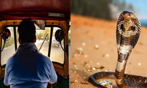 ഇതൊക്കെ ആരാ..; ഓട്ടോ ഓടിച്ച് പോകവേ..പലരും തൊഴുത് വണങ്ങി; ശെടാ എന്ന് ഡ്രൈവർ; പൊടുന്നനെ കഴുത്തിൽ ചുറ്റിയവനെ കണ്ട് നിലവിളിച്ചു; പിന്നാലെ പോസ്റ്റിലിടിച്ച് അപകടം