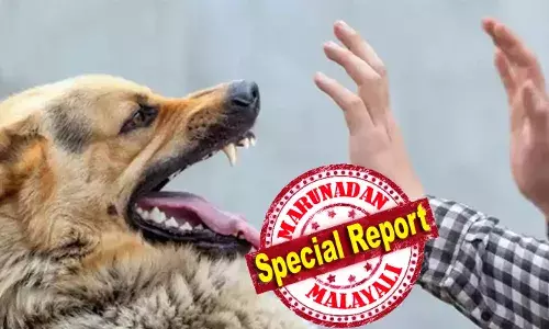 സംസ്ഥാനത്ത് വാക്‌സിന്‍ എടുത്തിട്ടും വീണ്ടും പേവിഷബാധ; ഏഴ് വയസുകാരിയെ നായ കടിച്ചത് ഒരു മാസം മുന്‍പ്; ആശുപത്രിയിലെത്തി ഐഡിആര്‍വി ഡോസും ആന്റി റാബിസ് സിറവും എടുത്തു; അവസാന ഡോസ് എടുക്കുന്നതിന് മുന്‍പ് പനി; ഏഴ് വയസുകാരി എസ്എടി ആശുപത്രിയില്‍ ചികിത്സയില്‍