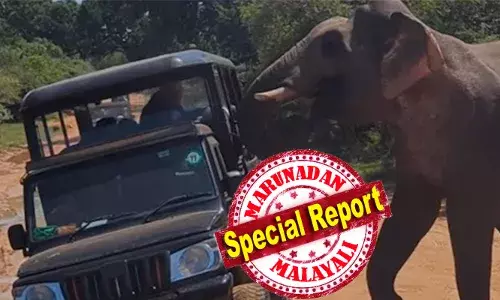 ഒരു വര്ഷം കൊതുക് എടുക്കുന്നത് 725000 ജീവനുകൾ; നാല് ലക്ഷം ജീവൻ എടുത്ത് മനുഷ്യൻ രണ്ടാം സ്ഥാനത്ത്; 138000 ജീവൻ എടുത്ത് സർപ്പം മൂന്നാമത് എത്തിയപ്പോൾ മനുഷ്യനെ കൊല്ലുന്നതിൽ നാലാം സ്ഥാനത്ത് 59000 ജീവനെടുക്കുന്ന നായകൾ