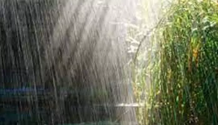 സംസ്ഥാനത്ത് തകര്ത്ത് പെയ്ത് വേനല്മഴ; ഇത്തവണ ലഭിച്ചത് 37 ശതമാനം അധിക മഴ സംസ്ഥാനത്ത് തകര്ത്ത് പെയ്ത് വേനല്മഴ; ഇത്തവണ ലഭിച്ചത് 37 ശതമാനം അധിക മഴ