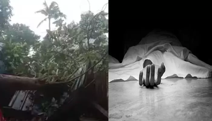 പുലർച്ചെ ഒരു ഭീകര ശബ്ദം; ഓടിയെത്തി നാട്ടുകാർ; ലേബർ ക്യാംപിന് മുകളിലേക്ക് തേക്കുമരം ഒടിഞ്ഞുവീണ് അപകടം; ഒരാൾക്ക് ദാരുണാന്ത്യം; മൂന്ന് പേർക്ക് പരിക്ക്; ആശുപത്രിയിൽ പ്രവേശിപ്പിച്ചു പുലർച്ചെ ഒരു ഭീകര ശബ്ദം; ഓടിയെത്തി നാട്ടുകാർ; ലേബർ ക്യാംപിന് മുകളിലേക്ക് തേക്കുമരം ഒടിഞ്ഞുവീണ് അപകടം; ഒരാൾക്ക് ദാരുണാന്ത്യം; മൂന്ന് പേർക്ക് പരിക്ക്; ആശുപത്രിയിൽ പ്രവേശിപ്പിച്ചു