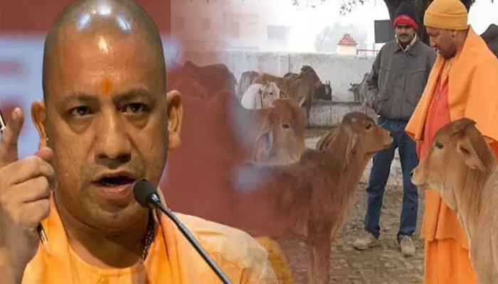 ഓഫിസുകളുടെ ചുവരുകളില് ചാണകത്തില് നിന്നുള്ള പെയിന്റ് പൂശണം; നാടന് പശുക്കള്ക്കായി മത്സരങ്ങള് നടത്തണം; യോഗത്തിൽ തുറന്നുപറഞ്ഞ് യോഗി ആദിത്യനാഥ് ഓഫിസുകളുടെ ചുവരുകളില് ചാണകത്തില് നിന്നുള്ള പെയിന്റ് പൂശണം; നാടന് പശുക്കള്ക്കായി മത്സരങ്ങള് നടത്തണം; യോഗത്തിൽ തുറന്നുപറഞ്ഞ് യോഗി ആദിത്യനാഥ്