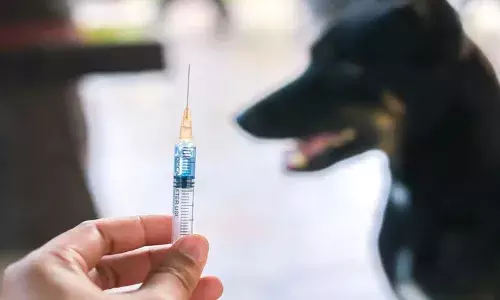 വാക്‌സിനെടുത്തിട്ടും പേ വിഷബാധയേറ്റ് മരണം; മൂന്ന് തവണ വാക്‌സിനെടുത്തിട്ടും പേ വിഷബാധയേറ്റ ഏഴു വയസ്സുകാരി മരിച്ചു: ഞരമ്പില്‍ കടിയേറ്റതിനെ തുടര്‍ന്ന് പേവിഷം രക്തത്തിലൂടെ തലച്ചോറിനെ ബാധിച്ചതെന്ന് റിപ്പോര്‍ട്ട്