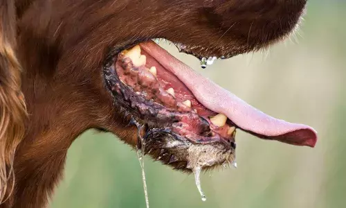 വാക്‌സിനെടുത്തിട്ടും പേവിഷബാധ; ടെക്‌നിക്കല്‍ കമ്മിറ്റി യോഗം ഉടന്‍