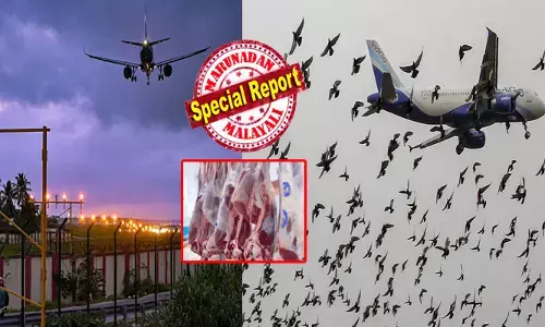 വിമാനം തിരുവല്ലം ഭാഗത്ത് നിന്നും ലാൻഡിങ്ങിനായി മെല്ലെ താഴുമ്പോൾ പൈലറ്റിന്റെ നെഞ്ചിടിക്കും; റൺവേ ദൃശ്യങ്ങൾ വ്യക്തമായി നോക്കും; അല്ലെങ്കിൽ അപകടം ഉറപ്പ്; ഒടുവിൽ ആ വലിയ ആശങ്കയ്ക്ക് പരിഹാരം; ഇനി എയർപോർട്ട് പരിധിയിൽ ഇറച്ചി വിൽപ്പന വേണ്ടെന്ന് ഉത്തരവ്; കുടുംബങ്ങളെ ഫ്ലാറ്റിലേക്ക് മാറ്റിപാർപ്പിക്കും; കർശന നിർദ്ദേശവുമായി നഗരസഭ