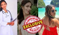എംബിബിഎസ് ഡിഗ്രി വ്യാജം; കോടികളുണ്ടാക്കി വിദേശത്ത് നിക്ഷേപം ഒരുക്കി; ഗുണ്ടകളെ അടക്കം ഒരുക്കി നിര്ത്തി മാഫിയാ സംവിധാനം കെട്ടി പടത്തുയര്ത്തിയത് ആഡംബര ജീവിതത്തിന്; എല്ലാത്തിനും കൂട്ടു നിന്നത് മാള്ട്ടയിലുള്ള പ്രവാസി; ആ മലയാളിയെ തിരിച്ചു നാട്ടിലെത്തിക്കാന് പോലീസിന് കുറച്ചു പാടു പെടേണ്ടി വരും; കാര്ത്തികാ പ്രദീപ് തട്ടിപ്പുകളുടെ ഉസ്താദ് എംബിബിഎസ് ഡിഗ്രി വ്യാജം; കോടികളുണ്ടാക്കി വിദേശത്ത് നിക്ഷേപം ഒരുക്കി; ഗുണ്ടകളെ അടക്കം ഒരുക്കി നിര്ത്തി മാഫിയാ സംവിധാനം കെട്ടി പടത്തുയര്ത്തിയത് ആഡംബര ജീവിതത്തിന്; എല്ലാത്തിനും കൂട്ടു നിന്നത് മാള്ട്ടയിലുള്ള പ്രവാസി; ആ മലയാളിയെ തിരിച്ചു നാട്ടിലെത്തിക്കാന് പോലീസിന് കുറച്ചു പാടു പെടേണ്ടി വരും; കാര്ത്തികാ പ്രദീപ് തട്ടിപ്പുകളുടെ ഉസ്താദ്