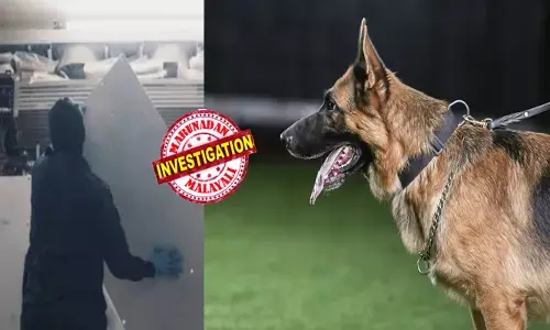 സ്ലോ സ്പീഡിൽ തുറമുഖത്ത് എത്തിയ കണ്ടെയ്നർ; ‘മരുന്നുകൾ’ എന്ന് എഴുതിയ ലേബലിൽ സംശയം; ഡ്രൈവറുടെ മുഖത്തെ പരുങ്ങലും ശ്രദ്ധിച്ചു; നായ്ക്കൾ ഇറക്കിയതും ട്വിസ്റ്റ്; ബോഡിക്കുള്ളിലെ പരിശോധനയിൽ കുടുങ്ങി; മുട്ടൻ പണി കൊടുത്ത് കസ്റ്റംസ്!