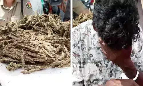 രഹസ്യ വിവരത്തെ തുടർന്ന് പരിശോധന; ഓട്ടോയിൽ വന്നിറങ്ങിയതും വലവിരിച്ചു; തൃശൂരിൽ നല്ല മുന്തിയ ഇനം കഞ്ചവുമായി യുവാവ് പിടിയിൽ; 5 കിലോയിലധികം പിടിച്ചെടുത്തു