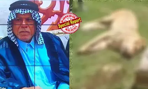 വീട്ടില്‍ ഓമനിച്ച് വളര്‍ത്താനായി വാങ്ങിയത് സാക്ഷാല്‍ സിംഹരാജനെ! മെരുക്കിയെടുക്കാന്‍ പണിപ്പെട്ട ഉടമയുടെ നേരേ ചാടി കടിച്ചുകീറി കൊന്ന് ഭക്ഷിച്ചു; ഞെട്ടിക്കുന്ന സംഭവം ഇറാക്കിലെ നജഫില്‍; അനധികൃത വന്യജീവി കടത്തില്‍ വലഞ്ഞ് സര്‍ക്കാരും