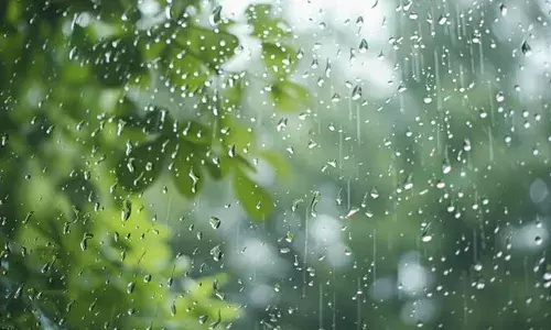 സംസ്ഥാനത്ത് ഇന്ന് വിവിധ ജില്ലകളില്‍ മഴയ്ക്ക് സാധ്യത; മൂന്ന് ജില്ലകളില്‍ യെല്ലോ അലേര്‍ട്ട്