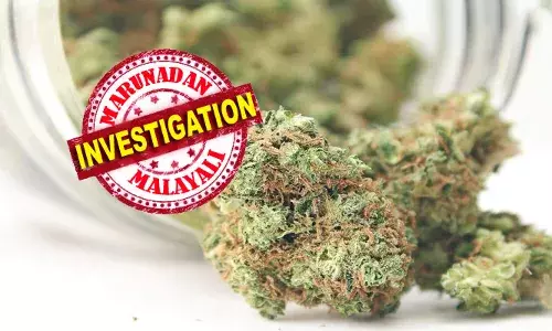 കേരളത്തിലേക്ക് ഹൈബ്രിഡ്ജ് കഞ്ചാവ് ഒഴുകി എത്തുന്നത് തായ്‌ലന്‍ഡില്‍ നിന്നും; മൂന്നാഴ്ചയ്ക്കിടെ പിടികൂടിയത് തായ്‌ലന്‍ഡില്‍ നിന്നെത്തിച്ച 70 കിലോ ഹൈബ്രിഡ്ജ് കഞ്ചാവ്: സ്വര്‍ണക്കടത്ത് സംഘങ്ങളും കഞ്ചാവ് കടത്തിലേക്ക് തിരിഞ്ഞതായി റിപ്പോര്‍ട്ട്