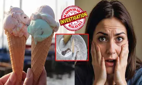 അയ്യേ..എന്താ ഇത്..!; യുവതിയുടെ അലറിവിളിയിൽ എല്ലാവരും തിരിഞ്ഞു നോക്കി; കോൺ ഐസ്ക്രീം നുണഞ്ഞപ്പോൾ തോന്നിയ ഒരു പിരിമുറുക്കം; പരിശോധനയിൽ കണ്ടു നിന്നവരുടെ കിളി പോയി; പിന്നാലെ കഠിനമായ ഛർദ്ദിൽ; പ്രശ്‌നം പരിഹരിക്കാൻ ആവലാതിപ്പെട്ട് അധികൃതർ!