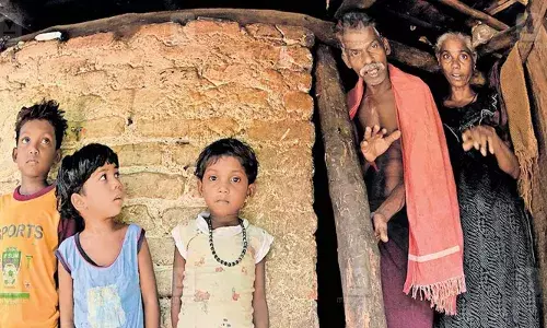 കട്ടിലില്‍ ചാടിക്കയറി പട്ടിയെ കടിച്ചെടുത്തു; കുഞ്ഞിനെ തട്ടി താഴെയിട്ടു; പുലിയുടെ കൈയ്യില്‍ നിന്നും തലനാരിഴയ്ക്ക് രക്ഷപ്പെട്ട് മൂന്നര വയസ്സുകാരി: പട്ടിയെ കടിച്ചെടുത്തത് ഉറങ്ങിക്കിടന്ന കുഞ്ഞുങ്ങളുടെ തൊട്ടടുത്ത് നിന്നും: പേടിച്ചരണ്ട് കുടുംബം