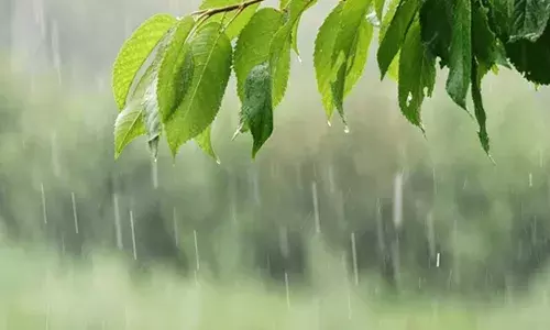 മിന്നലോടുകൂടിയ മഴയ്ക്കും മണിക്കൂറില്‍ 50 കിലോമീറ്റര്‍ വരെ വേഗത്തില്‍ കാറ്റിനും സാധ്യത;  18നും 19നും വിവിധ ജില്ലകളില്‍ യെല്ലോ അലേര്‍ട്ട്