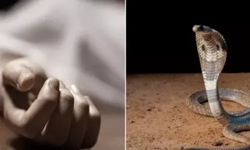 പാമ്പ് കടിയേറ്റ് അതിഥി തൊഴിലാളി ചികിത്സയിലിരിക്കെ മരിച്ചു; സംഭവം കോവളത്ത്