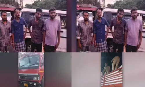 തൃശൂര്‍ പാലിയേക്കരയില്‍ ലോറിയില്‍ കഞ്ചാവ് കടത്ത്; 120 കിലോ കഞ്ചാവുമായി നാല് യുവാക്കള്‍ അറസ്റ്റില്‍