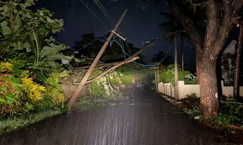 കോഴിക്കോട് ചെറുവാടിയില്‍ മിന്നല്‍ ചുഴലി; ശക്തമായ കാറ്റിലും മഴയിലും മരങ്ങള്‍ കടപുഴകി വീണു