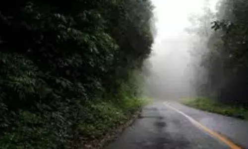 ശക്തമായ മഴ; നിലമ്പൂര്‍- നാടുകാണി ചുരം റോഡ് വഴി രാത്രി അനാവശ്യ യാത്രകൾ വേണ്ട; മുന്നറിയിപ്പുകൾ കൃത്യമായി പാലിക്കണം; നിർദ്ദേശവുമായി ജില്ലാ കളക്ടർ