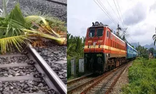 ശക്തമായ മഴയെ തുടർന്ന് പാളത്തിൽ തെങ്ങ് വീണു; കണ്ണൂര്‍ ഭാഗത്തേക്കുള്ള ട്രെയിന്‍ സര്‍വീസുകള്‍ തടസ്സപ്പെട്ടു; ഒന്നര മണിക്കൂറോളം ബുദ്ധിമുട്ടിയെന്ന് യാത്രക്കാർ!