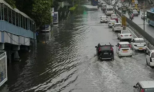 കനത്ത കാറ്റിലും മഴയിലും വിറങ്ങലിച്ച് രാജ്യ തലസ്ഥാനം;  മേല്‍ക്കൂര വീണ് പോലീസുകാരന്‍ മരിച്ചു; ജനജീവിതം സ്തംഭിച്ചു;  200ലധികം  വിമാനസര്‍വീസുകളെ ബാധിച്ചു