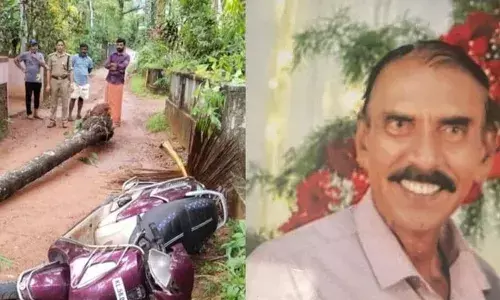 ഓടിക്കൊണ്ടിരുന്ന സ്‌കൂട്ടറിന് മുകളില്‍ തെങ്ങുവീണ് യാത്രക്കാരന്‍ മരിച്ചു