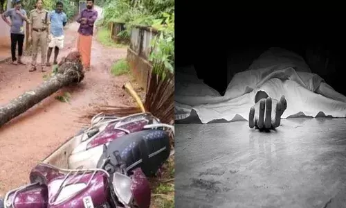 ഓടിക്കൊണ്ടിരുന്ന സ്‌കൂട്ടറിന് മുകളിലേക്ക് തെങ്ങ് ഒടിഞ്ഞുവീണ് അപകടം; യാത്രക്കാരന് ദാരുണാന്ത്യം; ശബ്ദം കേട്ട് നാട്ടുകാർ ഓടിയെത്തി; ദാരുണ സംഭവം കോഴിക്കോട്