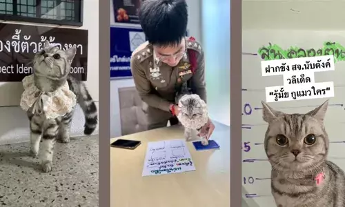 വിശപ്പാണ് സാറെ ഇവന്റെ മെയിൻ..!; രക്ഷിച്ചതിന് നന്ദി വാക്കുകൾ ഇല്ല; പോലീസിനെ കടിച്ചും മാന്തിയും പൂച്ച സെർ; സഹികെട്ട് കുഞ്ഞനെ അറസ്റ്റ് ചെയ്തപ്പോൾ സംഭവിച്ചത്!