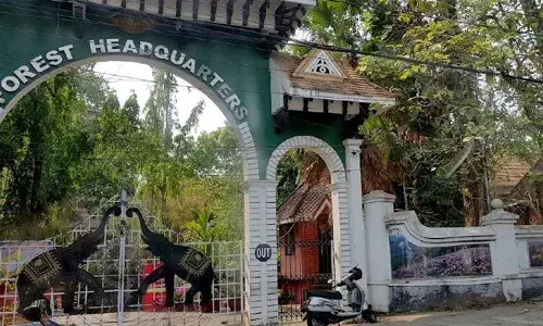 ജോലിക്കിടെ പരിക്ക്: വനംവകുപ്പിലും പൂര്‍ണ ശമ്പളത്തോടെ അവധി