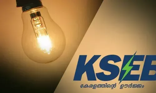 ദിവസങ്ങള്‍ കഴിഞ്ഞിട്ടും വൈദ്യുതിബന്ധം പുനഃസ്ഥാപിച്ചില്ല; കെഎസ്ഇബി ഓഫീസിലെത്തി ആത്മഹത്യാഭീഷണി മുഴക്കി യുവതി: ഷോക്ക് ട്രീറ്റ്‌മെന്റില്‍ ഉടനടി കറന്റ് നല്‍കി ഉദ്യോഗസ്ഥര്‍
