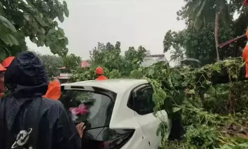 കനത്ത മഴയിൽ റോഡിലൂടെ കുതിച്ചു; പൊടുന്നനെ കാറ്റ് ആഞ്ഞുവീശി; കാറിന് മുകളിലൂടെ മരം ഒടിഞ്ഞു വീണു; കുടുംബം രക്ഷപ്പെട്ടത് തലനാരിഴക്ക്; നാട്ടുകാരുടെ പരാതി മറ്റൊന്ന്!