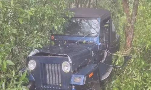 പ്രവേശിക്കാന്‍ അനുവാദമില്ലാത്ത സ്ഥലത്ത് കൂടി കുതിച്ചു; നിയന്ത്രണം തെറ്റി ജീപ്പ് മറിഞ്ഞ് അപകടം; വിനോദ സഞ്ചാരികൾ രക്ഷപ്പെട്ടത് ഭാഗ്യം കൊണ്ട്