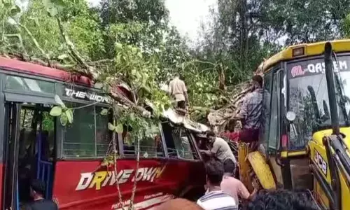 ഓടിക്കൊണ്ടിരുന്ന ബസിന് മുകളിലേക്ക് കൂറ്റൻ ആൽമരം  വീണ് അപകടം; നിലവിളി കേട്ട് നാട്ടുകാർ ഓടിയെത്തി; യാത്രക്കാരെ പുറത്തെടുത്തത് ബസ് വെട്ടി പൊളിച്ച്; ഒരാളുടെ നില അതീവ ഗുരുതരം
