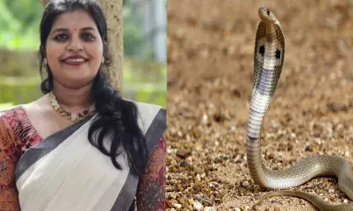 രാത്രി വീട്ടുമുറ്റത്ത് നിന്ന് മകന് ചൊറുവാരിക്കൊടുക്കുന്നതിനിടെ പാമ്പ് കടിച്ചു; ചികിത്സയിലിരിക്കെ യുവതിക്ക് ദാരുണാന്ത്യം; വേദനയോടെ ഉറ്റവർ!