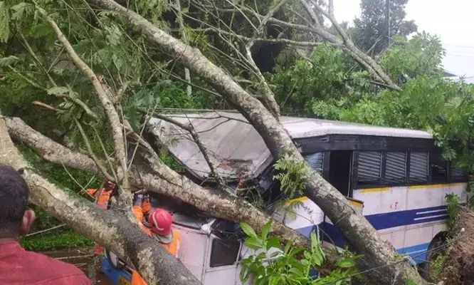 കാട്ടാക്കടയില്‍ ഓടിക്കൊണ്ടിരുന്ന കെഎസ്ആര്‍ടിസി ബസിലേക്ക് കൂറ്റന്‍ മരം വീണു; നിരവധി യാത്രക്കാര്‍ക്ക് പരിക്ക്