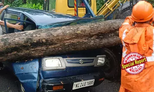 പത്തനംതിട്ട മൈലപ്രയില്‍ മാരുതി ഓമ്നി വാനിന് മുകളിലേക്ക് കൂറ്റന്‍ തേക്കുമരം വീണു; ഡ്രൈവര്‍ അത്ഭുതകരമായി രക്ഷപ്പെട്ടു; റാന്നി ബൈപ്പാസിലേക്ക് അല്‍ബീസിയ മരങ്ങള്‍ തലങ്ങും വിലങ്ങും വീണു; പത്തനംതിട്ട ജില്ലയില്‍ വ്യാപകനാശം