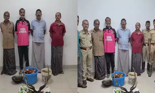 ജനവാസ  മേഖലയിലെത്തിയ പുള്ളിമാനെ വേട്ടയാടി കറിയാക്കി; പാകം ചെയ്യുന്നതിനിടെ വനംവകുപ്പ് ഉദ്യോഗസ്ഥരെത്തി: നാലു പേര്‍ പിടിയില്‍