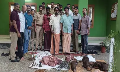വന്യമൃഗങ്ങളെ ഷോക്കടിപ്പിച്ച് കൊന്ന് ഇറച്ചിയാക്കി വിറ്റെന്ന കേസ്; വയനാട്ടിൽ മൂന്ന് പേർ അറസ്റ്റിൽ