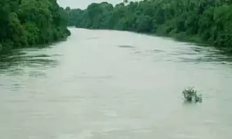 ഇടുക്കി കല്ലാര്‍കുട്ടി-ലോവര്‍ പെരിയാര്‍ അണക്കെട്ടുകളില്‍ റെഡ് അലര്‍ട്ട്; സംസ്ഥാനത്ത് മഴ കനത്തതോടെ വിവിധ നദികളില്‍ ജലനിരപ്പുയരുന്നു