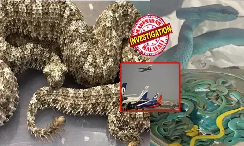 വിമാനം ലാൻഡ് ചെയ്തതും ടെൻഷൻ; വെപ്രാളം പിടിച്ച് നടത്തം; മുഖത്ത് നല്ല കള്ളലക്ഷണം; അസാധാരണ പ്രവർത്തികൾ ശ്രദ്ധിച്ച കസ്റ്റംസ് പിടിച്ചുനിർത്തി പരിശോധിച്ചു; ബാഗ് തുറന്നതും ആളുകൾ കുതറിമാറി; കണ്ടത് ഇഴഞ്ഞു നീങ്ങുന്ന അതിഥികളെ; കൂടെ മറ്റൊരു വസ്തുവും!