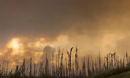 കാനഡയുടെയും യുഎസിന്റെയും ചില ഭാഗങ്ങളില് കാട്ടുതീ 25,000-ത്തിലധികം താമസക്കാരെ ഒഴിപ്പിച്ചു കാനഡയുടെയും യുഎസിന്റെയും ചില ഭാഗങ്ങളില് കാട്ടുതീ 25,000-ത്തിലധികം താമസക്കാരെ ഒഴിപ്പിച്ചു