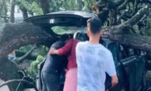 കൂറ്റൻ മരം കടപുഴകി വീണ് അപകടം; സ്‌കൂട്ടര്‍ യാത്രികന് പരിക്ക്; സമീപത്തെ കാറിൽ ഉണ്ടായിരുന്നവർ അത്ഭുതകരമായി രക്ഷപ്പെട്ടു!