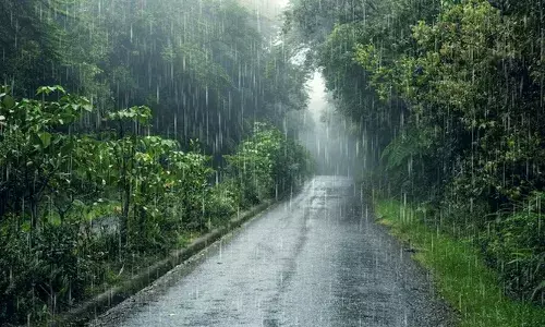 മഴയുടെ ശക്തി കുറഞ്ഞു; കോഴിക്കോട്, വയനാട്, കണ്ണൂര്‍, കാസര്‍കോട് ജില്ലകളില്‍ ഇന്ന് യെലോ അലര്‍ട്ട്