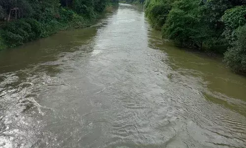 പെരുമഴയും വെള്ളപ്പൊക്കവും; മീനച്ചിലാറ്റിലൂടെ ഒഴുകിയത് മലമ്പുഴ ഡാമിലെ ജലത്തിന്റെ രണ്ടിരട്ടി