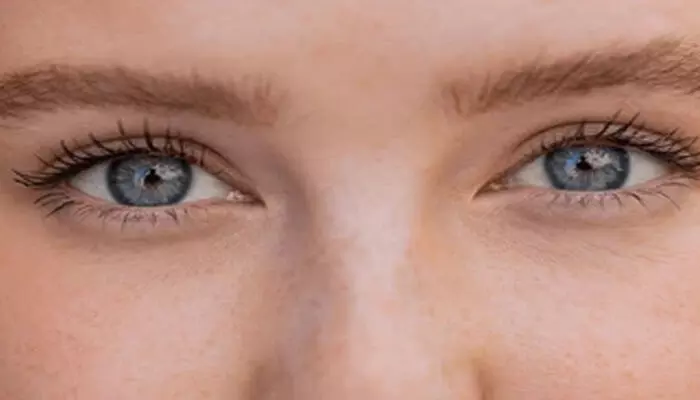 മൂന്നര വയസ്സുകാരി ആശുപത്രിയിലെത്തിയത് കണ്ണ് വല്ലാതെ ചുവക്കുന്ന പ്രശ്നവുമായി; പുറത്തെടുത്തത് മൂന്ന് സെന്റീമീറ്റര് നീളമുള്ള വിരയെ മൂന്നര വയസ്സുകാരി ആശുപത്രിയിലെത്തിയത് കണ്ണ് വല്ലാതെ ചുവക്കുന്ന പ്രശ്നവുമായി; പുറത്തെടുത്തത് മൂന്ന് സെന്റീമീറ്റര് നീളമുള്ള വിരയെ