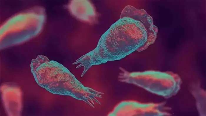 അമീബിക്ക് മസ്തിഷ്‌ക ജ്വരം: രോഗ നിര്‍ണയത്തില്‍ നിര്‍ണായക ചുവടുവയ്പ്പുമായി ആരോഗ്യ വകുപ്പ്; ആദ്യത്തെ അമീബയുടെ രോഗ സ്ഥിരീകരണം നടത്തിയതായി ആരോഗ്യമന്ത്രി