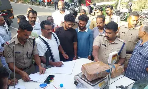 ഏഴ് കിലോ കഞ്ചാവുമായി കോണ്‍ഗ്രസ് പഞ്ചായത്തംഗവും രണ്ടു പേരും പിടിയില്‍; പരിശോധന കട്ടപ്പന പോലീസിന്റെ നേതൃത്വത്തില്‍