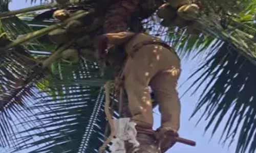 കൂറ്റൻ പൊക്കമുള്ള തെങ്ങിൽ കയറി; ഓല വെട്ടുന്നതിനിടയിൽ അപകടം; കൈയ്ക്ക് മുറിവേറ്റ് കുടുങ്ങിപ്പോയി; രക്ഷകരായി അഗ്നിരക്ഷാ സേന; വയോധികനെ ആശുപത്രിയിലേക്ക് മാറ്റി