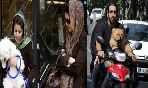 എന്തൊരു വിധി ഇത്..; ഇറാനിലെ പൊതുയിടങ്ങളിൽ വളർത്തുനായയുമായി നടക്കാൻ ഇറങ്ങുന്നതിനുള്ള നിരോധനം; കൂടുതൽ നഗരങ്ങളിലേക്ക് വ്യാപിപ്പിച്ച് ഭരണകൂടം; നിയമം ലംഘിച്ചാൽ കടുത്ത നടപടി!