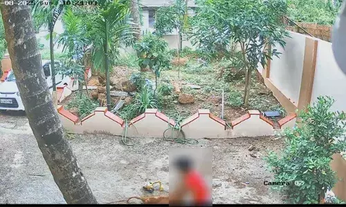 കായലോട് വീട്ടുമുറ്റത്ത് കളിക്കുകയായിരുന്ന കുട്ടി ഉള്‍പ്പെടെ നാല് പേര്‍ക്ക് തെരുവ് നായയുടെ കടിയേറ്റു